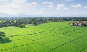 Как избежать юридических ошибок при покупке незастроенного земельного участка