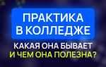 Какая практика у юристов в колледже