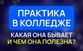 Какая практика у юристов в колледже