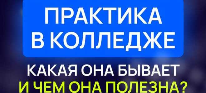 Какая практика у юристов в колледже