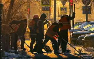 Сколько законов приняла госдума в 2022 году