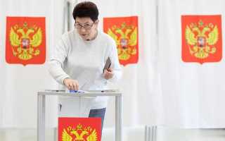 Как стать наблюдателем на выборах 2023