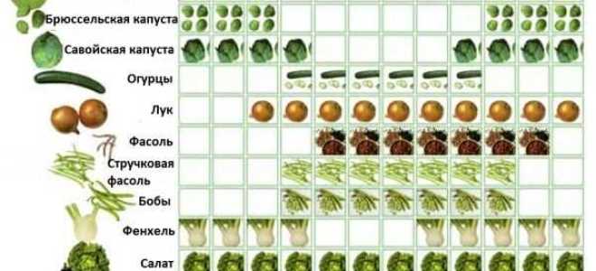 Какое товарное соседство разрешено в магазине