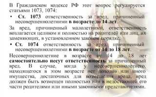 131 132 гпк рф что за статья