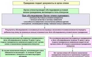 Какие права имеет опекун над недееспособным