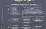 Какие бывают бюджеты от фондов у депутатов