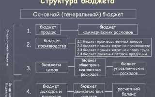 Какие бывают бюджеты от фондов у депутатов