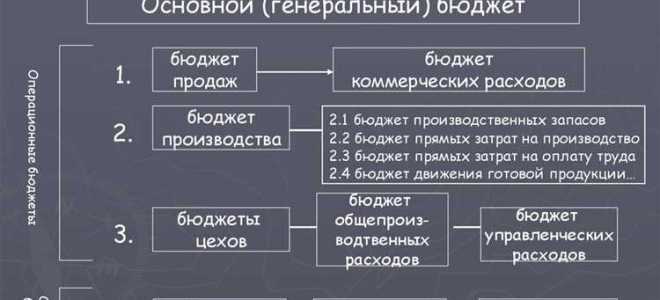 Какие бывают бюджеты от фондов у депутатов
