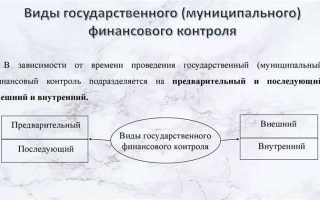 Ревизия как метод финансового контроля