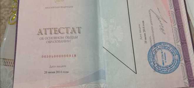 Как восстановить диплом о высшем образовании при утере через госуслуги