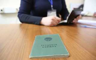 Что такое статус представителя в заявлении