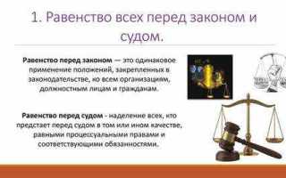 Умысел и неосторожность как формы вины принцип равенства перед законом