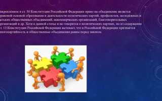 Что является целью деятельности общественного объединения