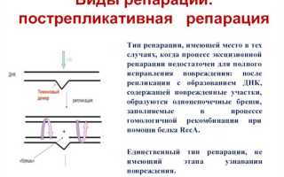 Репарации и контрибуции в чем разница