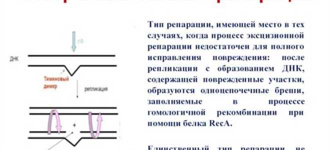 Репарации и контрибуции в чем разница