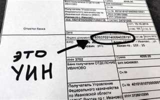 Как посмотреть квитанции об оплате жкх через интернет