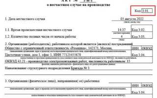 Что должно быть указано в акте формы н 1