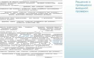 Что не обязано делать проверяемое лицо при проведении таможенной проверки