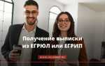 Что содержится в выписке егрюл