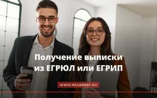Что содержится в выписке егрюл
