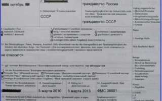 Как получить рабочую визу в германию