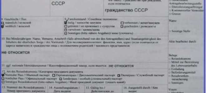 Как получить рабочую визу в германию