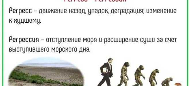 Чем отличается регресс от суброгации в страховании