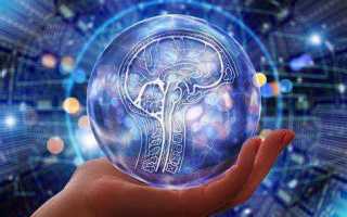 Сайт как объект интеллектуальной собственности