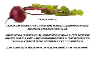 С какого возраста можно стать сенатором