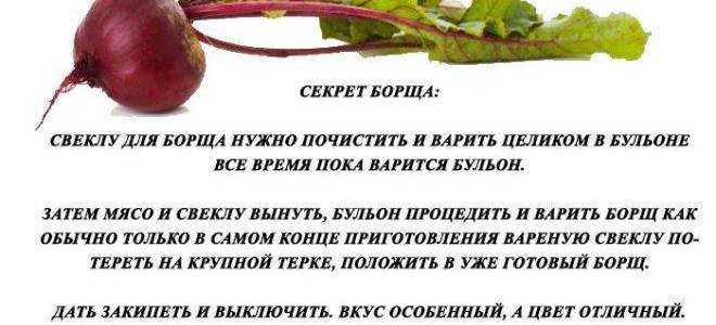 С какого возраста можно стать сенатором