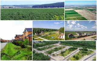 Декларированная площадь земельного участка что это