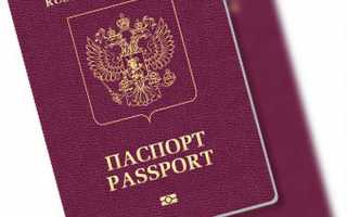 Служебный паспорт рф что это