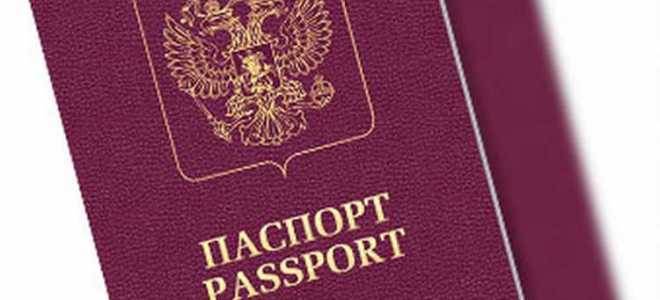 Служебный паспорт рф что это