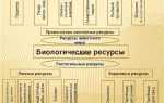 Что относится к биологическим ресурсам
