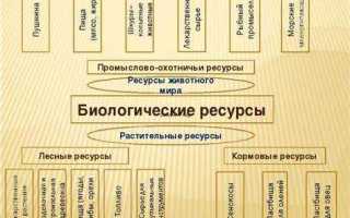 Что относится к биологическим ресурсам
