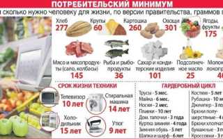 Как часто меняется прожиточный минимум