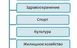 Что такое объект социальной инфраструктуры