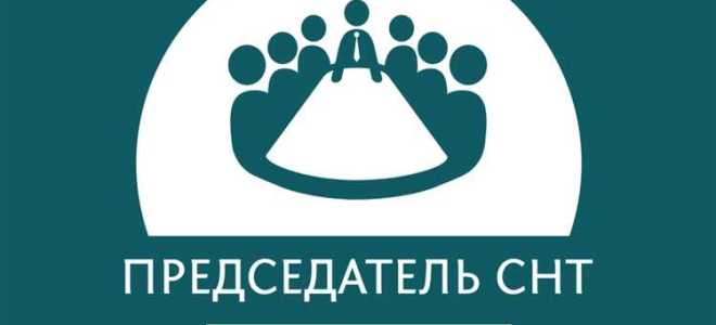 Какой закон применяется по снт