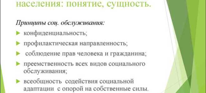 Дом социального обслуживания что это