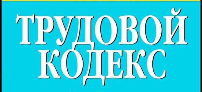 Много эпизодов по 292 статье как защитить