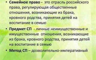 К какой правовой семье относится рф
