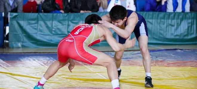 Как получить мастера спорта по вольной борьбе