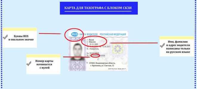 Сколько действует карта водителя для тахографа