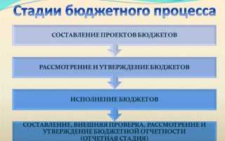 Сколько стадий включает бюджетный процесс