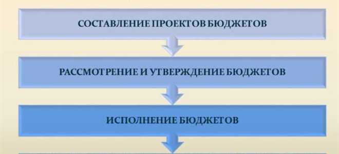 Сколько стадий включает бюджетный процесс