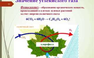 Какие вещества могут гореть на воздухе