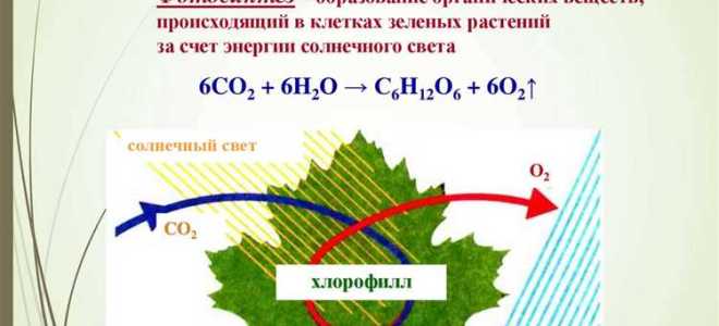 Какие вещества могут гореть на воздухе