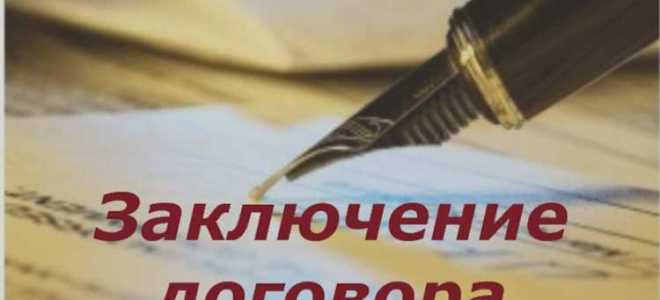 Как называется сторона принимающая предложение заключить договор