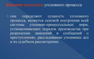 Что такое дознание в уголовном процессе
