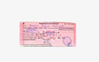 Родовой сертификат 2023 когда выдадут